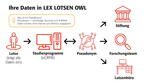 So werden ihre Daten bei LEX LOTSEN verarbeitet